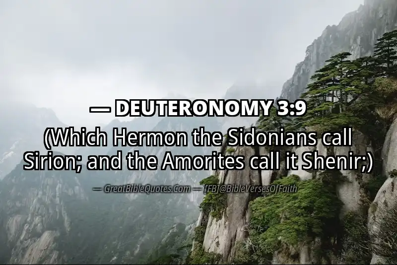 DEUTERONOMY 3:9 Verse