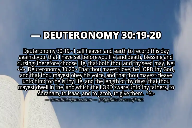Image for DEUTERONOMY 30:19-20 Bible verse