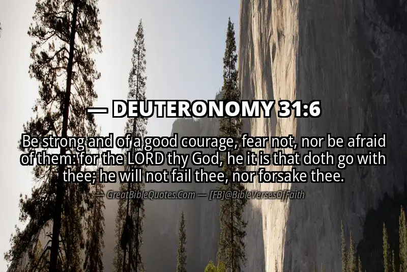Image for DEUTERONOMY 31:6 Bible verse