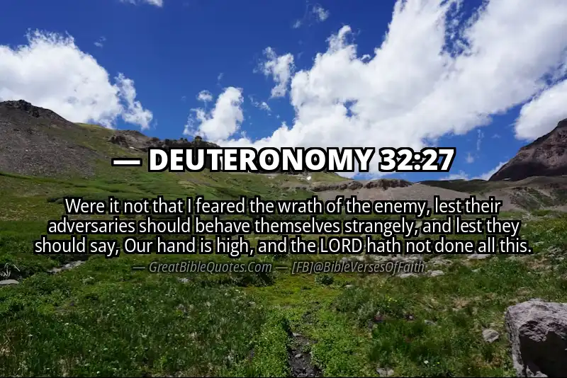 DEUTERONOMY 32:27 Verse