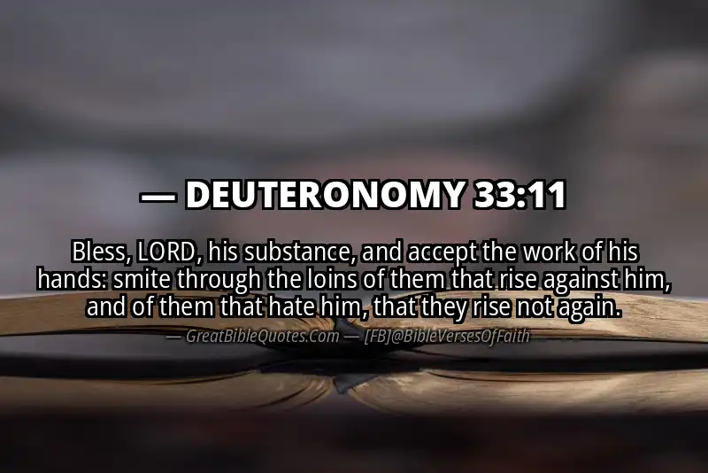DEUTERONOMY 33:11 Verse Image