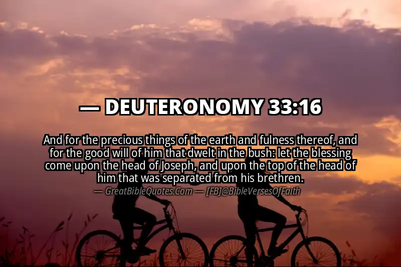 DEUTERONOMY 33:16 Verse