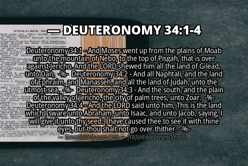 Image for DEUTERONOMY 34:1-4 Bible verse