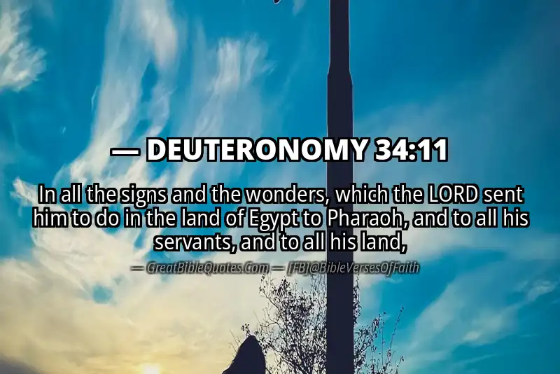 Bible verse: DEUTERONOMY 34:11 Image