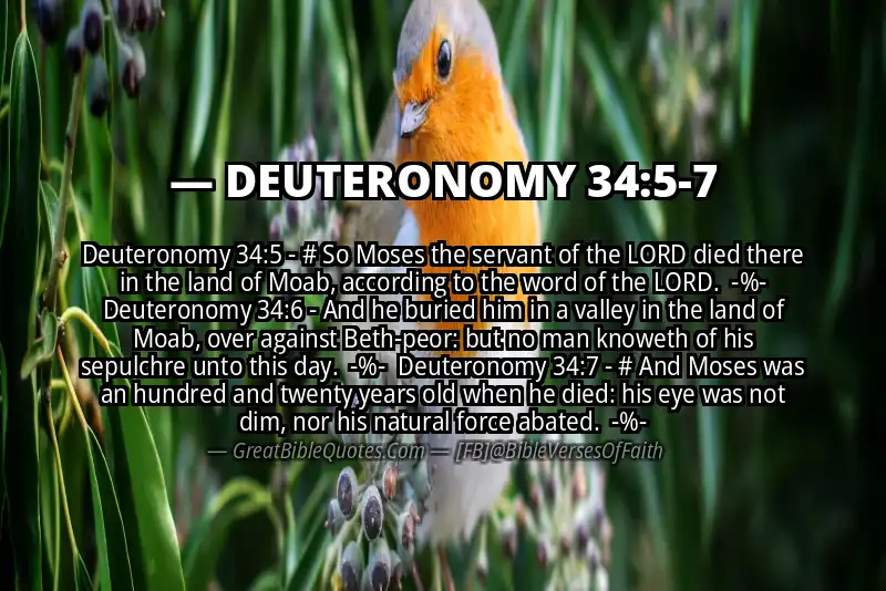 Image for DEUTERONOMY 34:5-7 Bible verse