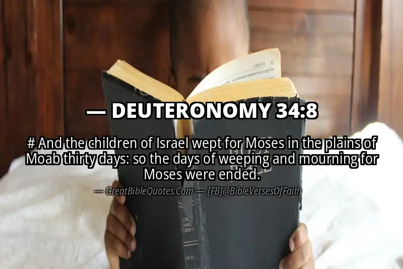 Bible verse: DEUTERONOMY 34:8 Image