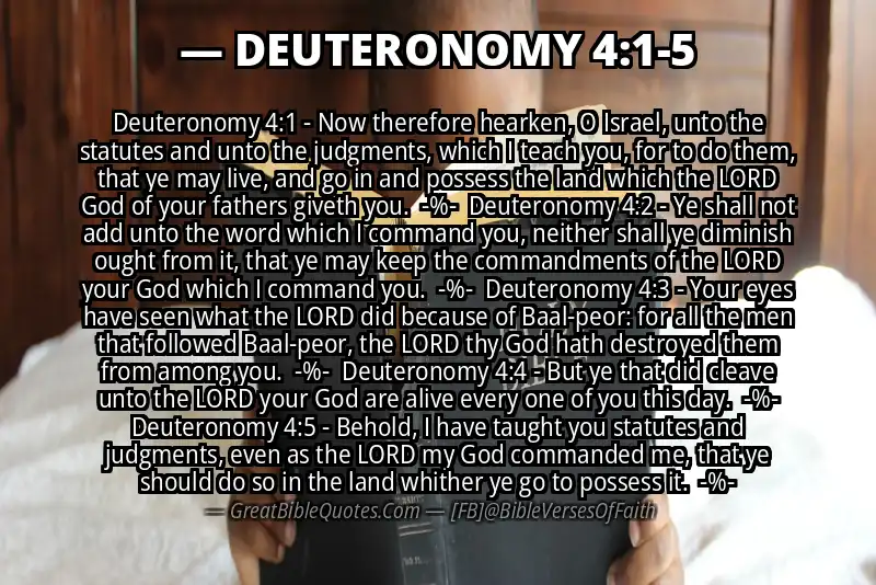 Image for DEUTERONOMY 4:1-5 Bible verse
