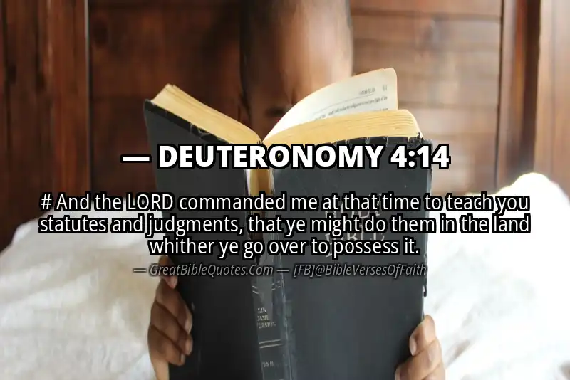DEUTERONOMY 4:14 Verse