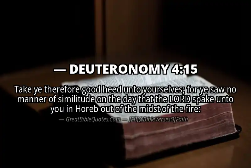 DEUTERONOMY 4:15 Verse