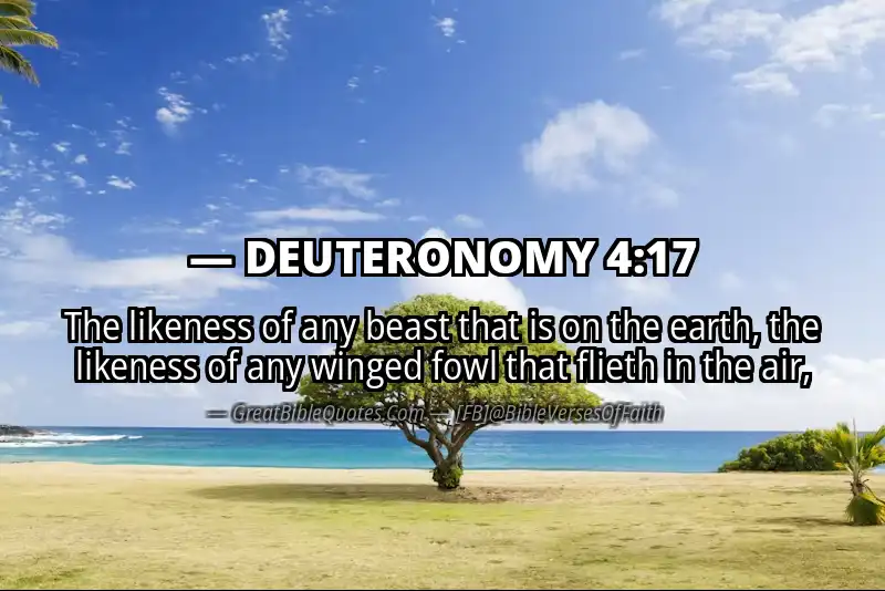 Bible verse: DEUTERONOMY 4:17 Image