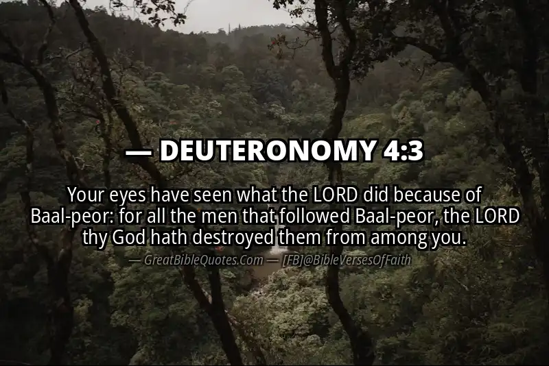Bible verse: DEUTERONOMY 4:3 Image