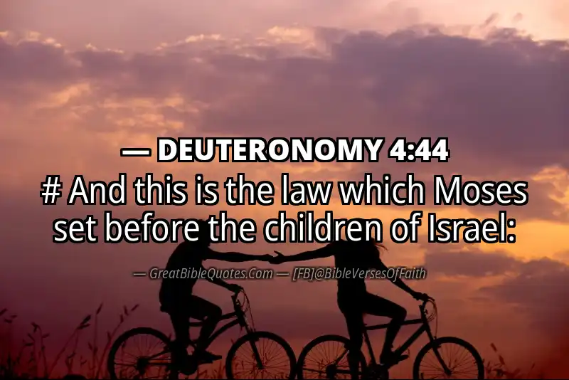 DEUTERONOMY 4:44 Verse