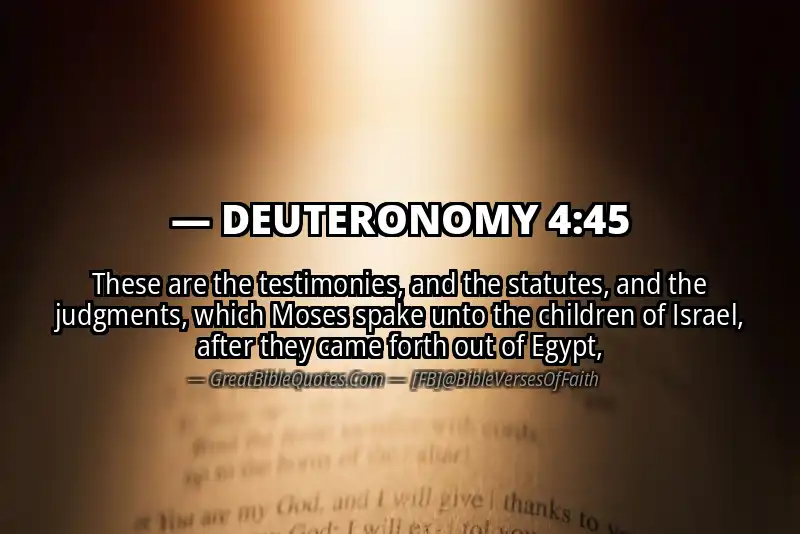 DEUTERONOMY 4:45 Verse