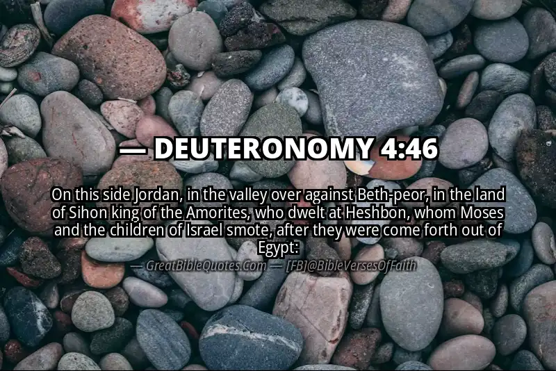 DEUTERONOMY 4:46 Verse