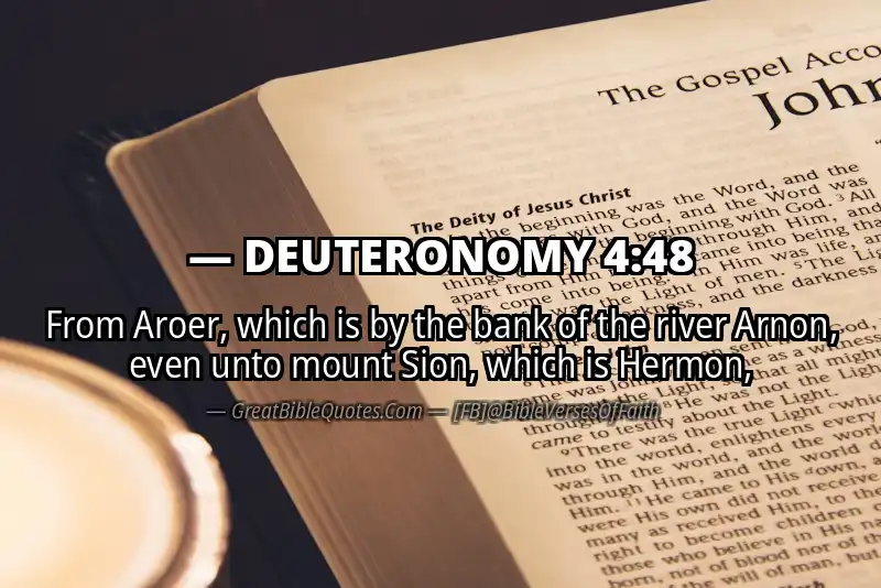 Bible verse: DEUTERONOMY 4:48 Image
