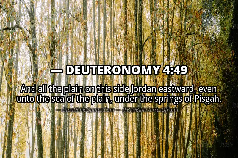Bible verse: DEUTERONOMY 4:49 Image