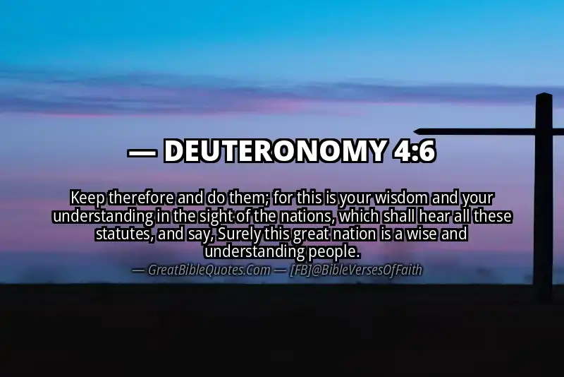 Image for DEUTERONOMY 4:6 Bible verse