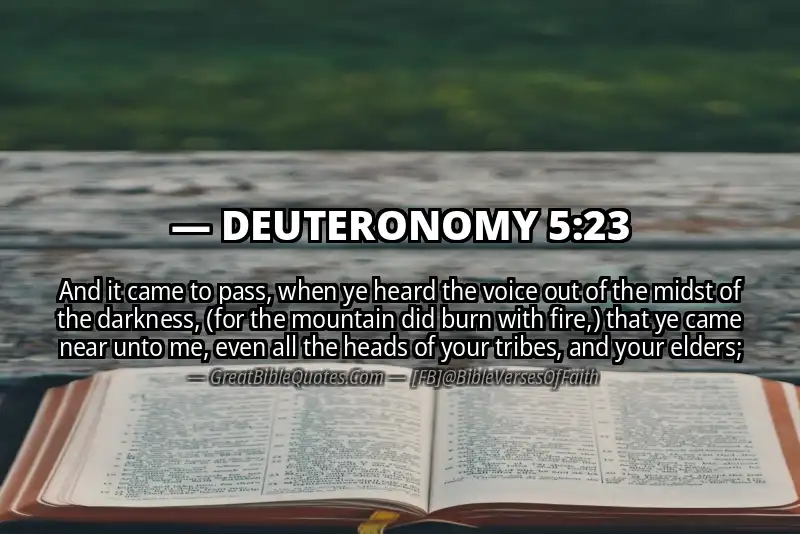 DEUTERONOMY 5:23 Verse