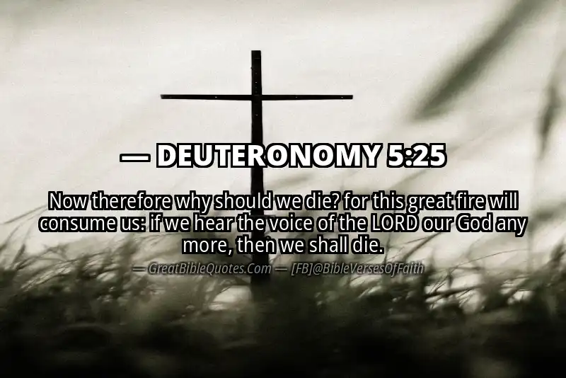 DEUTERONOMY 5:25 Verse
