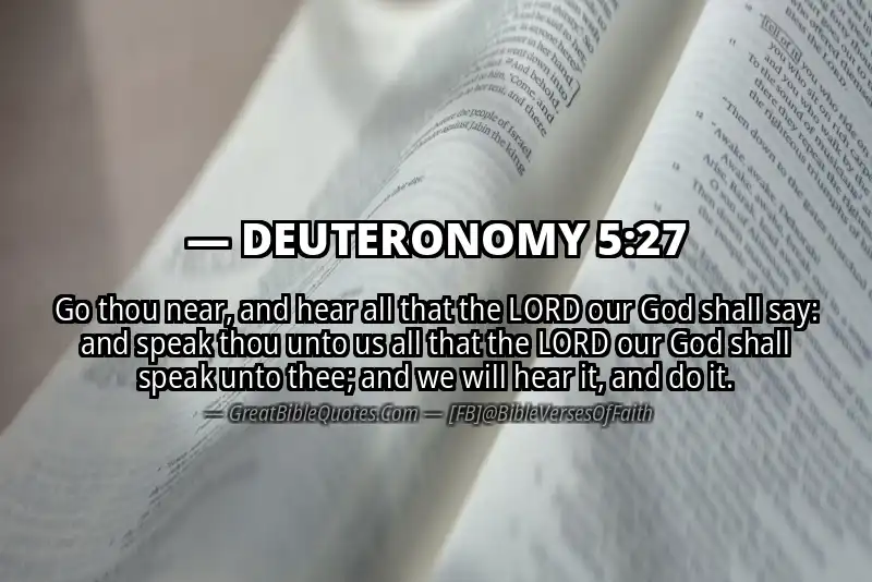 Bible verse: DEUTERONOMY 5:27 Image