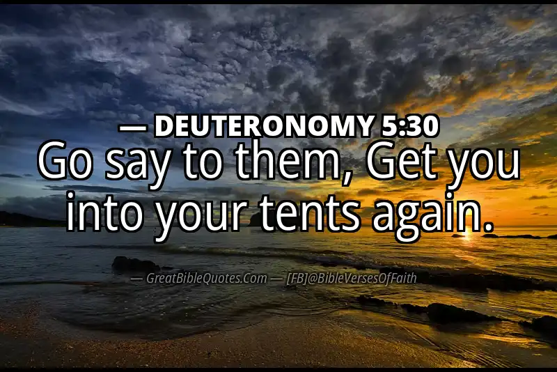 Bible verse: DEUTERONOMY 5:30 Image