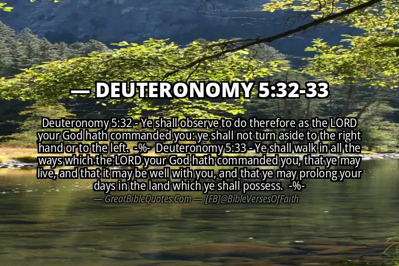Image for DEUTERONOMY 5:32-33 Bible verse