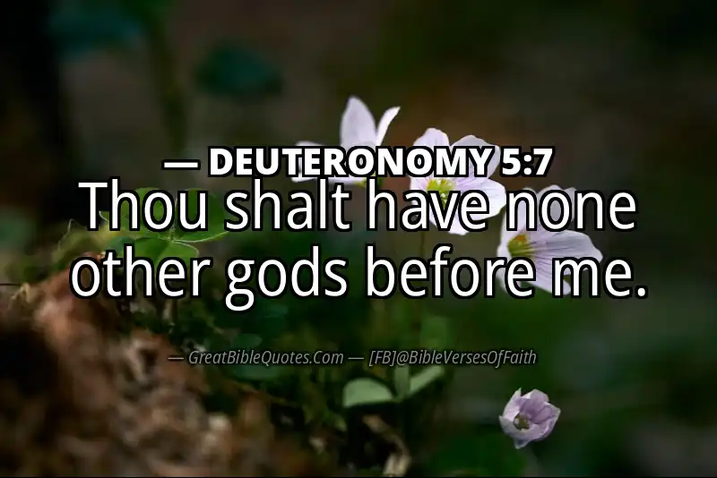 Bible verse: DEUTERONOMY 5:7 Image