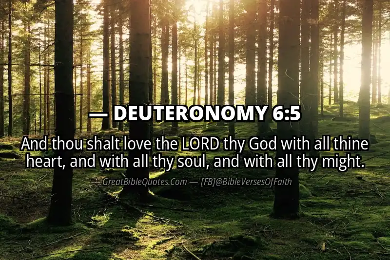 Bible verse: DEUTERONOMY 6:5 Image