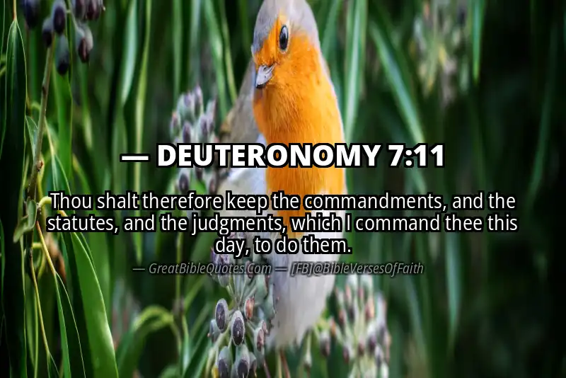 DEUTERONOMY 7:11 Verse