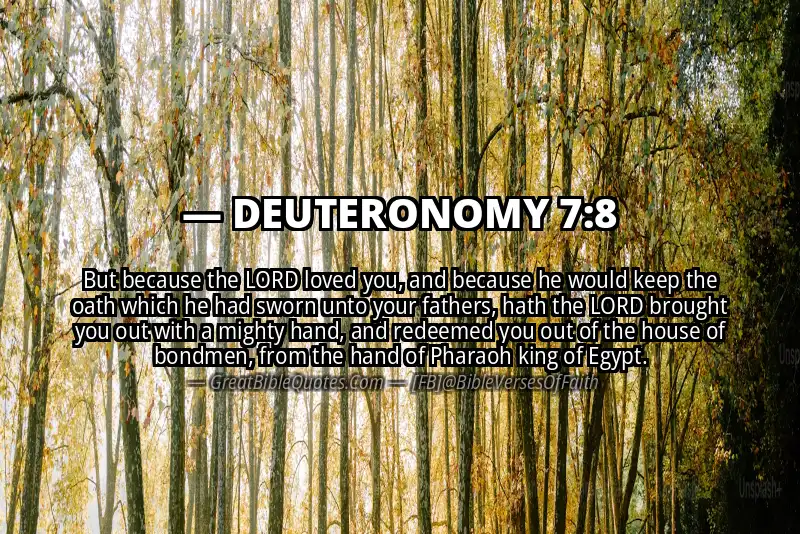 Bible verse: DEUTERONOMY 7:8 Image