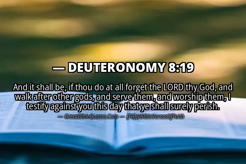 DEUTERONOMY 8:19 Verse