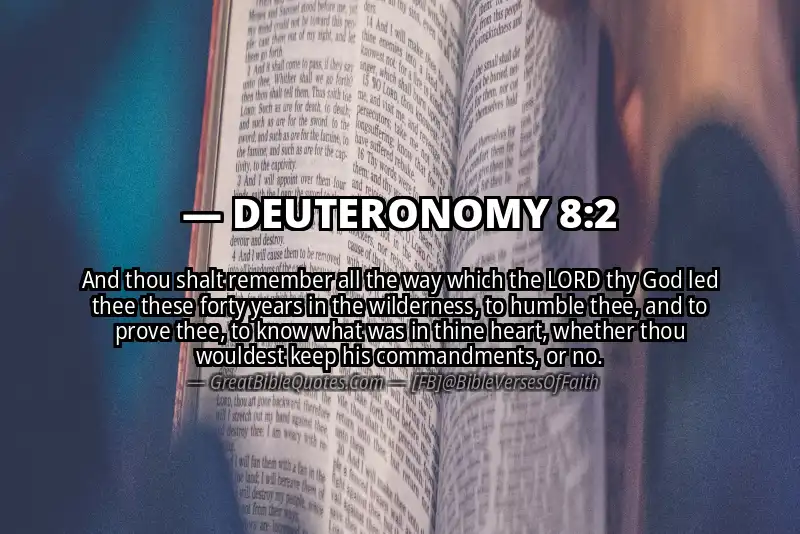 Bible verse: DEUTERONOMY 8:2 Image