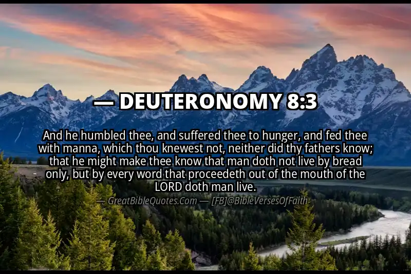 Bible verse: DEUTERONOMY 8:3 Image