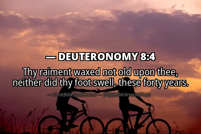 Bible verse: DEUTERONOMY 8:4 Image
