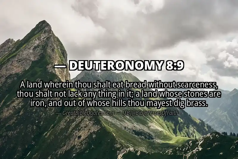 DEUTERONOMY 8:9 Verse