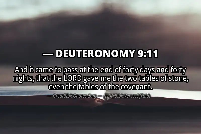 DEUTERONOMY 9:11 Verse