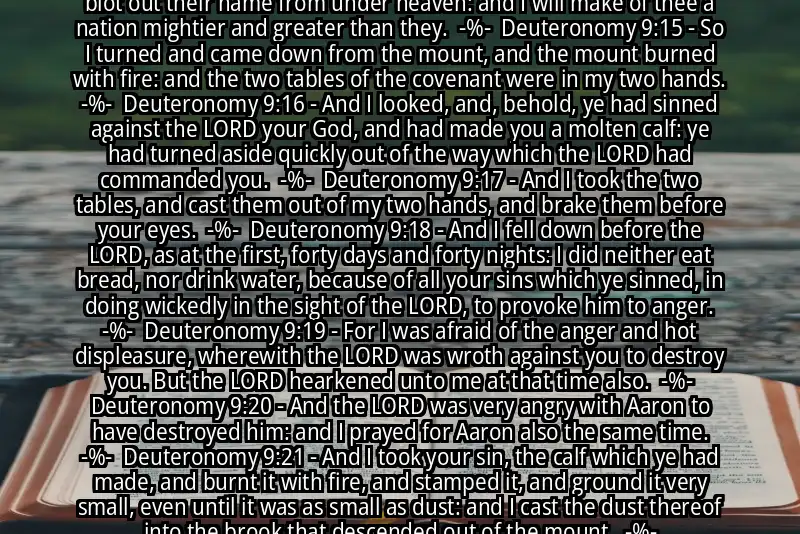 Image for DEUTERONOMY 9:13-21 Bible verse