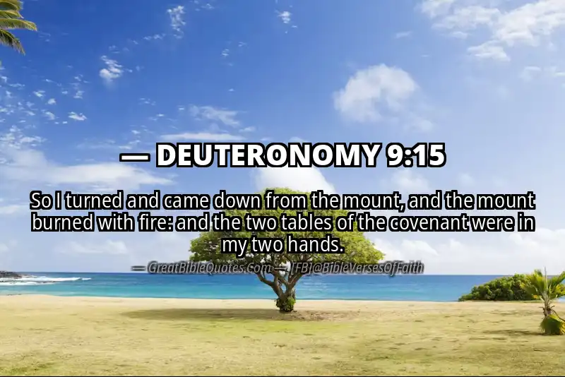 Bible verse: DEUTERONOMY 9:15 Image