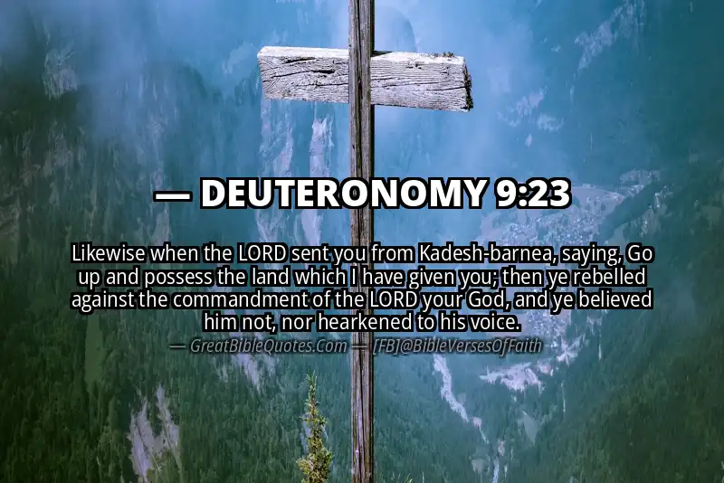 DEUTERONOMY 9:23 Verse