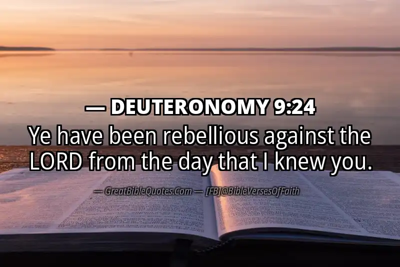 DEUTERONOMY 9:24 Verse