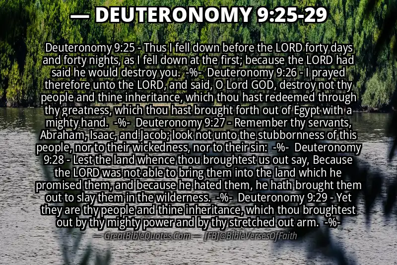 Image for DEUTERONOMY 9:25-29 Bible verse