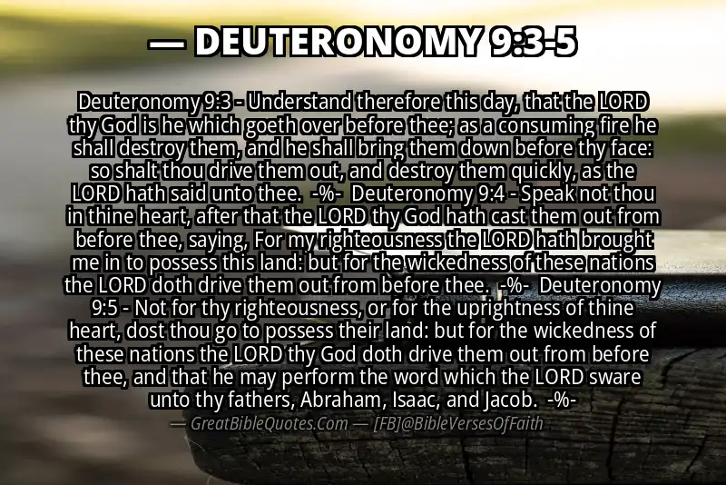 Image for DEUTERONOMY 9:3-5 Bible verse