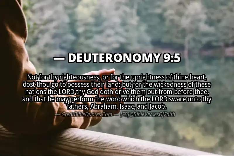 Bible verse: DEUTERONOMY 9:5 Image