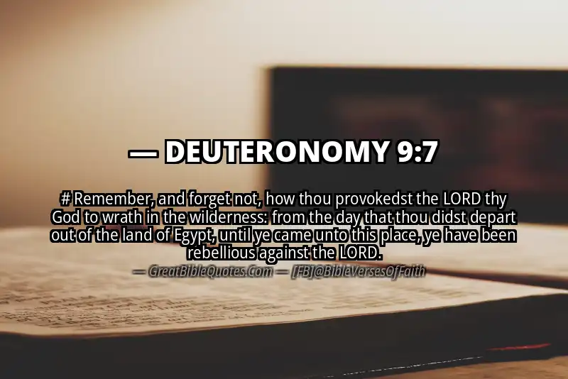 Bible verse: DEUTERONOMY 9:7 Image