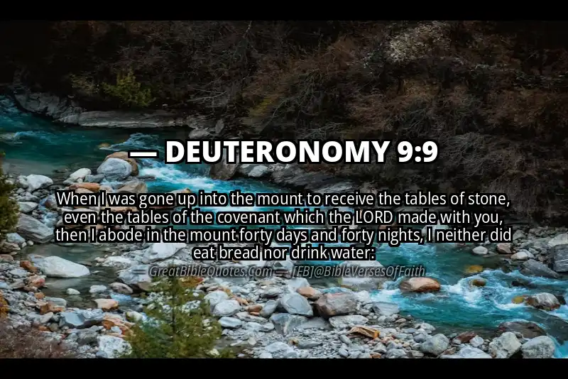 DEUTERONOMY 9:9 Verse