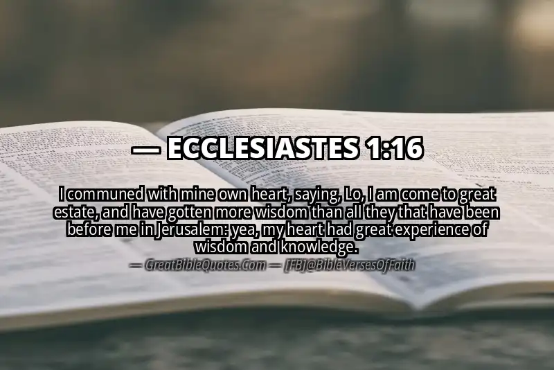 Bible verse: ECCLESIASTES 1:16 Image