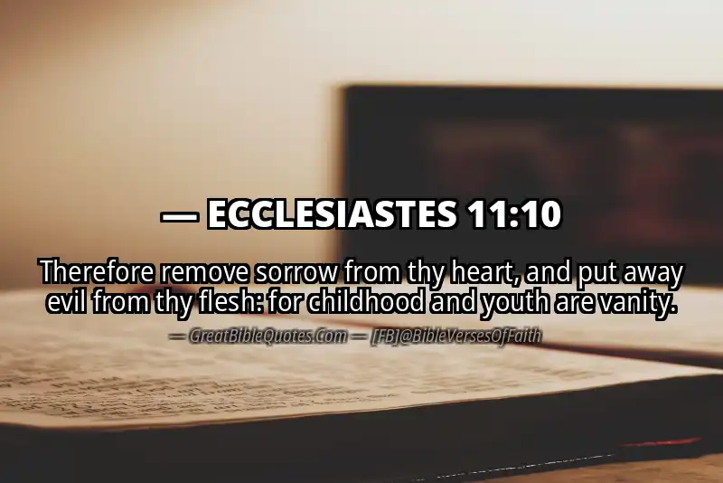 ECCLESIASTES 11:10 Verse
