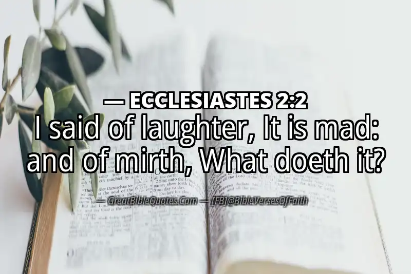Bible verse: ECCLESIASTES 2:2 Image