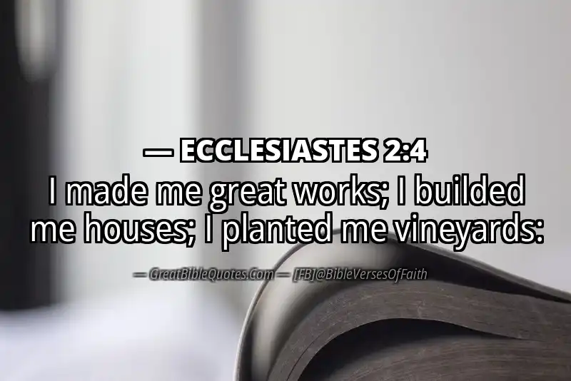 Bible verse: ECCLESIASTES 2:4 Image