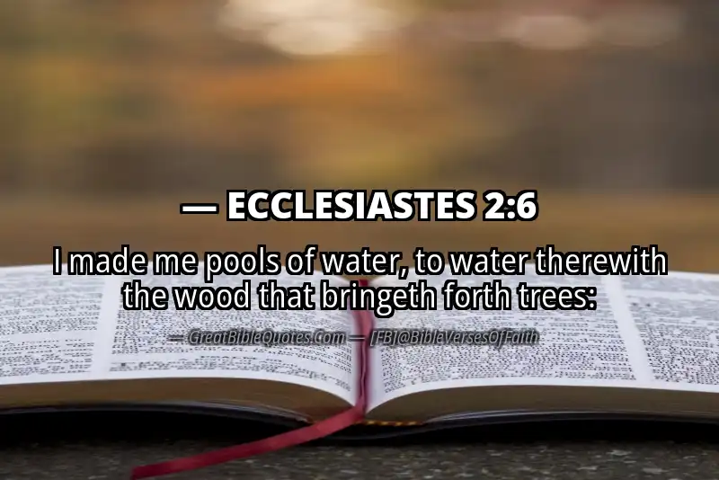 ECCLESIASTES 2:6 Verse